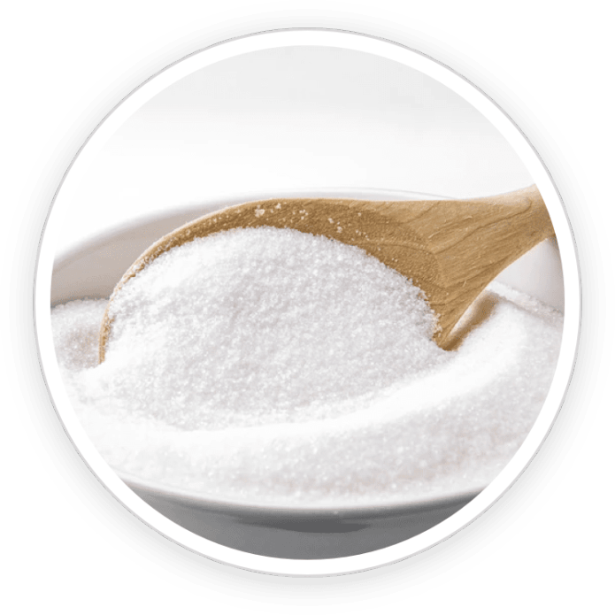 Inulin (Prebiotic Fiber)